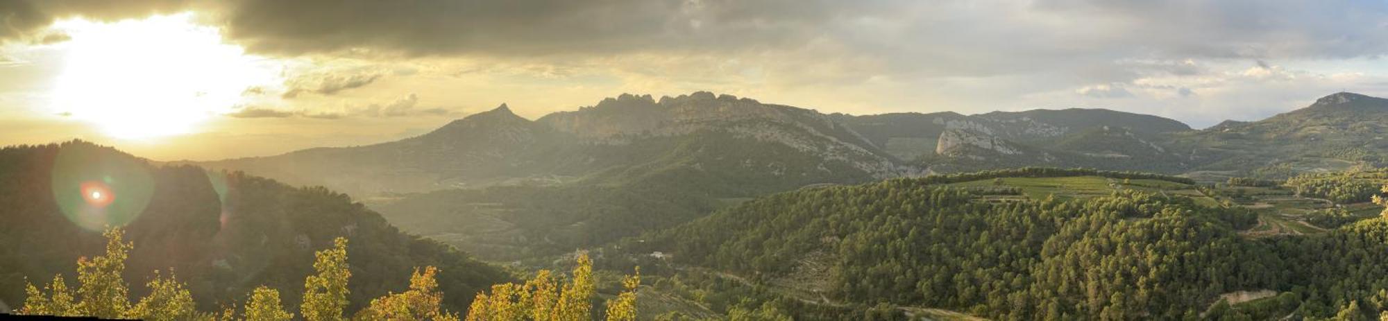 Le Chant Des Cigales LʼIsle-sur-la-Sorgue المظهر الخارجي الصورة